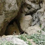 Ferrata I Magnifici 4